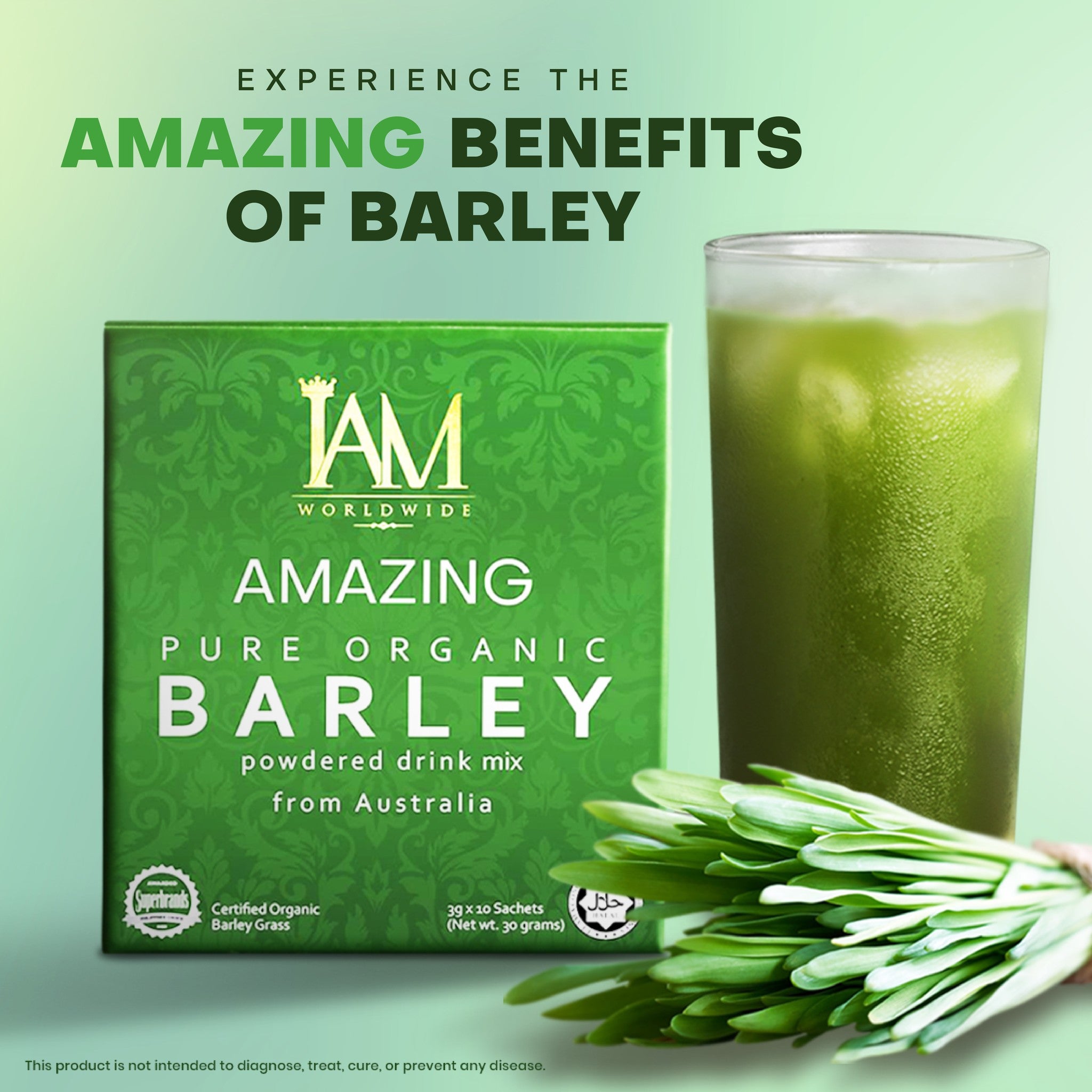 Amazing Barley